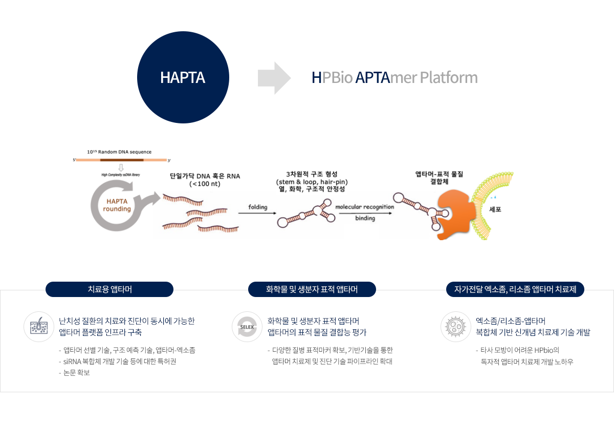 HAPTA Platform 이란?